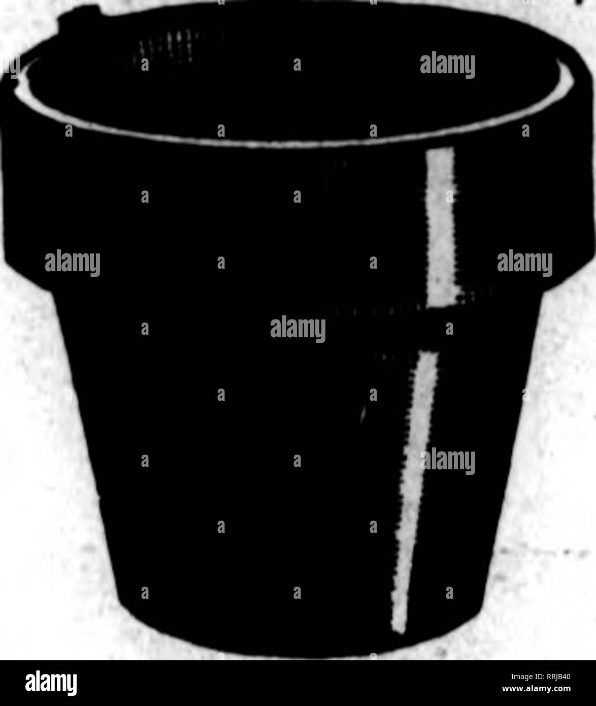 . Floristen Review [microform]. Blumenzucht. /"&Gt;• T^^^ • Jk: &gt; *"^' W 86 Die Floristen Review Jolt 10, 1910. MILWAUKEE, WIS. Der Markt. Der Markt hat auf einem entschieden Sommer Aspekt berücksichtigt. Blumen sind reichlich genug, aber Qualität und Vielfalt fehlen, genau ein Sommer Symp-Tom. Einige ausgezeichnete Rosen sind aus Häusern vor allem für Sommer Schnitte gepflanzt. Dieser Bestand ist in der guten Nachfrage und der Versorgung steigt. Nelken sind so fast weg, dass Käufer nehmen Sie sie nur, wenn es nötig ist. Gladiolen sind bet-ter jetzt, und wesentlich helfen. Del-phinium, Mutterkraut und achiUea sind Stockfoto