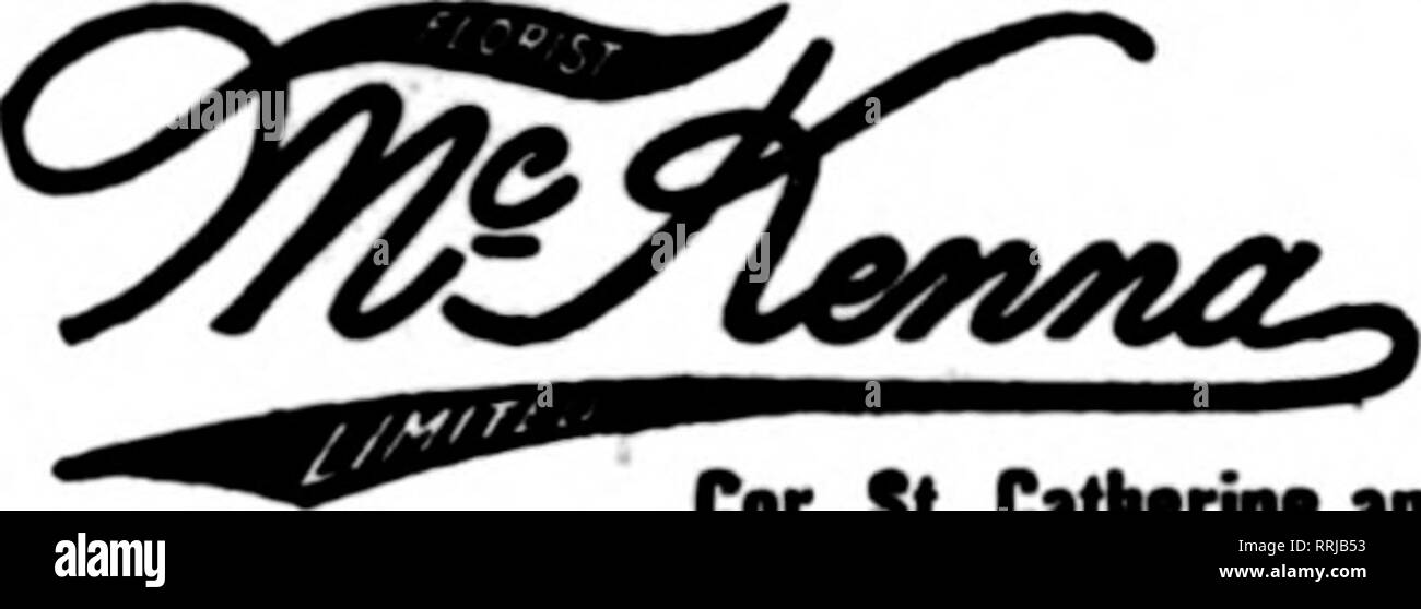 . Floristen Review [microform]. Blumenzucht. 124 Tremont Street Boston siuniwouiiuiiuoiiiiHiiiiiaiiHiiiiiiioiiunuiiniuimiiiiiiniHiiaiiiiiniimniHiiniiiioiinuimiaiiiuiiiiiiouniiHiiiaiiiiiiiiHoiiuiiiiH Winnipeg, Man., Can. Die ** König "FLORIST 270 Hargrave St. Mitglied F. T. D. ABS'DKANADA FLORIST 8-10 W. Adelaide Street Toronto Mitglied Floristen Teleg; raph Lieferung Verband tuMm "mmuMmvmm ajMmmijmijj" "Ähm^^^^ SECY YOUNG'S CORNER OFFICE: 1170 BROADWAY. NEW YORK Änderung im Zeitplan. Tu die Notizen, die von unseren Promo eingerichtet- Präsidium letzte Woche war der Zeitplan für den National Magazine Werbe Stockfoto