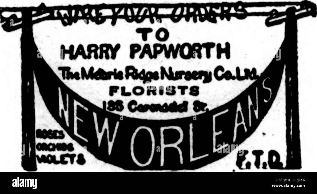 . Floristen Review [microform]. Blumenzucht. Mitglieder F. T.U. der Avenue blumige Co.8442 ST. CHARLES AVENUE. NEW ORLEANS, LA. CHAS. EBLE ÄLTESTE FLORIST SÜDEN 121 Baronne Street Mitglied Floristen "Telegraph Lieferung. Bitte beachten Sie, dass diese Bilder sind von der gescannten Seite Bilder, die digital für die Lesbarkeit verbessert haben mögen - Färbung und Aussehen dieser Abbildungen können nicht perfekt dem Original ähneln. extrahiert. Chicago: Floristen Pub. Co Stockfoto