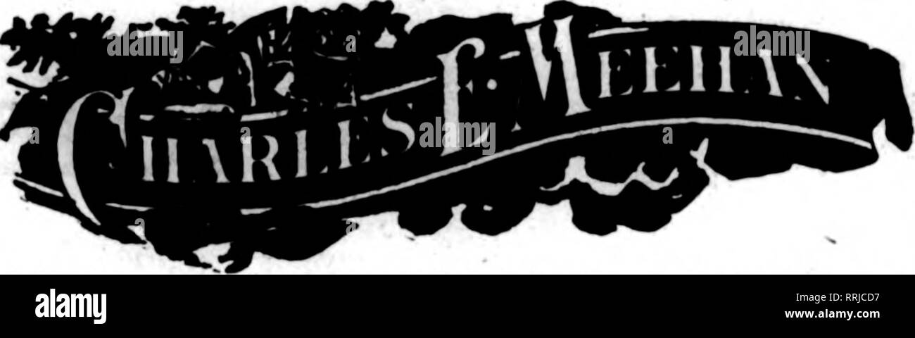 . Floristen Review [microform]. Blumenzucht. Erwähnen Sie die Überprüfung wh * "Sie schreiben. Das HAUS DES VERDIENSTES FLORISTEN' liefert JOS. a. NEIDINBER GEHEN. 1309-11 N. Second Street PHILADELPHIA, PA. Erwähnen Sie die BeTJew wenn Yon schreiben. Alles in Grünen STEIN'S BLUMEN LIEFERUNG HAUS 2223 N. Front St., PhUadcliAia, Pa. Erwähnen Sie die Reriew wenn Yon schreiben. SO. Sie versuchten, es zu erhalten, aber konnte nicht. Aber angenommen, dass sie auf Lager für 3.000 $ gekauft hatte und verkaufte sie für $ 6.000, wie die paragrapher Bilder zu tun, gibt es noch einen weiteren wichtigen Punkt betrachtet zu werden. Die Kosten gegen dieses Inco aufgeladen werden Stockfoto