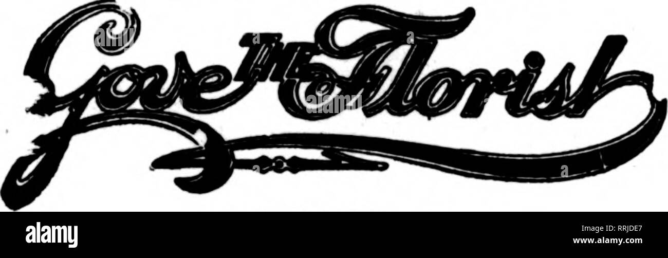 . Floristen Review [microform]. Blumenzucht. Providence, Rhode Island, Johnston Brothers führenden Floristen 38 DORRANCE STRASSE Die Floristen "Telegraph Lieferung Ass'n. PROVIDENCE, R.I. Und ALLE NEUEN ENGLAND PUNKTE T. J. Johnston &Amp; Co.,^ "^p" ggXgN^^ ein Neu-Britannien, Anschl. VOLZ FLORAL CO. Auszahlungen. O'Keefe Werbeagentur, Zeichnungen, Teller, etc. $ 3,855.35 O'Keefe Werbeagentur, advertis-ing in Zeitschriften 44,716.08 Kilometerstand, Reisekosten Ausschuss 1,004.80 1,159.82 Werbung Handel Papiere Kommissionen bis hin zu den Sonderbeauftragten 2,870.32 kosten lokale Ausschüsse 48,25 Pro ra Stockfoto