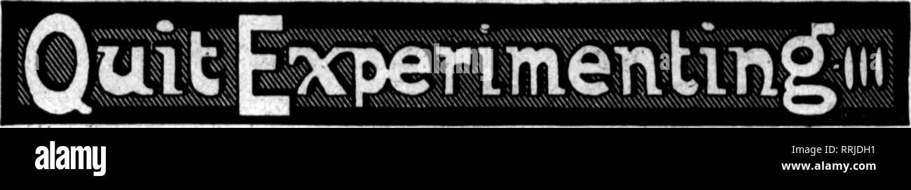 . Floristen Review [microform]. Blumenzucht. ;?;. /C Floristen^ Review NOTSMBIB 2, 1916.". Nicht mehr blind kaufen. Hier ist ein Unternehmen, das ihnen die Sorge um die Qualität, die Sie kein Risiko eingehen, wenn sie uns^ krank und Preise und Versand, ihre Aufträge beenden wird. CHRYSANTHENUNS und POMPONS NUN AN Qualität übertrifft alles, was wir je hatten. Unsere unvergleichlichen ROSEN IN GROSSE ERNTE. Minirosen - Baby Doll, Cecile Brunner, Geo. Elger, Firefiame. Orchideen - lilien - Farleyense - Hybridum - Mexikanische Efeu-Sprengeri. Buchsbaum WILD SMILAX LEUCOTHOE HOLZ FARNE AKTUELLE PREISLISTE zu ändern Sabject witboat Notka Frau Chat. - Penoo Rattell Stockfoto