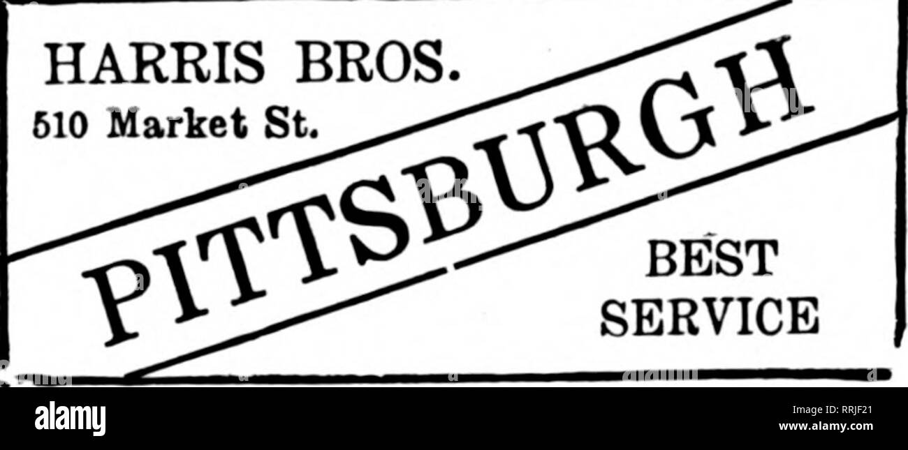 . Floristen Review [microform]. Blumenzucht. PITTSBURGH UND UMGEBUNG F. T. D.-A.-W. Smith Flower Stores Firma Keenan Building, Pittsburgh, PA. Pittsburgh, PA FRAU. E. WILLIAMS 621 PENN AVENUE Mitglied F. T. D. PITTSBURGH 1 ^E.C. LUDWIG FLORAL CO710 E. Diamond St. Mitglieder F. T. D. Pittsburgh, Pa McGRATH & Amp; LAN* iHANS (Empire Blume Shou) EMflRE BUILDUSG früher Einzelhandel Abt. blinden Floral Co. Pittsburgh, PA RANDOLPH &Amp; McCLEMENTS Floral Experten 5936 PENN AVENUE Mitglieder der Floristen Telesiaph Lieferung Pittsburgh, PA. Ludwig Floral Co 502 FEDERAL STREET HARRIS BROS. 610 Stockfoto