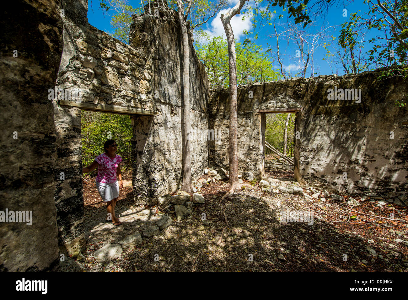 Wade's Green Plantation Historic Site, North Caicos, Turks- und Caicosinseln, West Indies, Mittelamerika Stockfoto