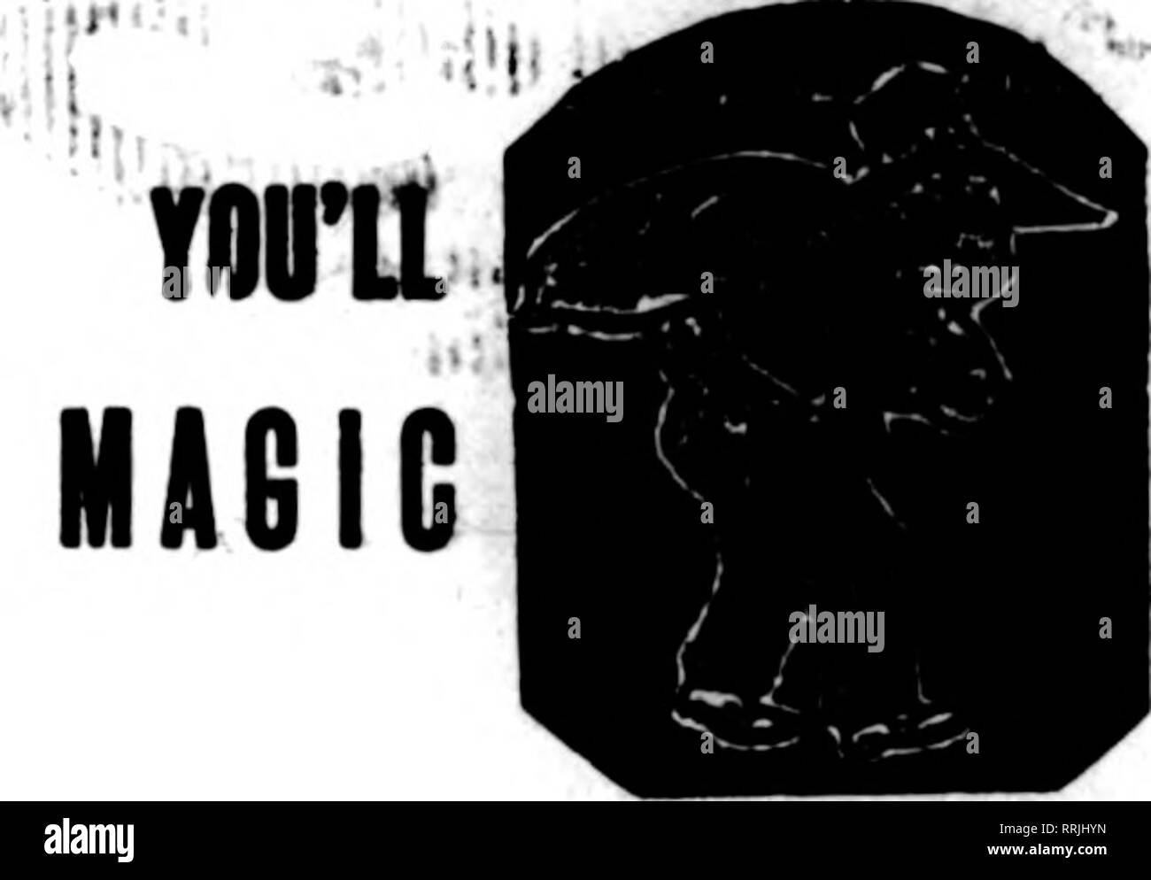 . Floristen Review [microform]. Blumenzucht. "30. Januar 1919. Die Floristen^ Review 87 PFLANZEN SIE JETZT Cyclamen Wahl Farben in voller Blüte 4-Zoll 25^0 je 5-Zoll 5 Cc und 75 c Jeder 6-Zoll 75 c und $ 1,00 Primula obconica Wahl Farben in der Blüte 4-Zoll 20 c Jeder 5-Zoll 40 c Jeder 6-Zoll 60 c Jeder Hortensien französische Art für Ostern blühen 1 Blütentrieb 10c2 blühende Triebe 20 c 3 blühende Triebe 30 c 4 und 5 Blütentriebe 4 Cc Dracaena indivisa Starke 5-Zoll 40 c Jeder 6-Zoll 6 Cc jeder Asparagus Sprengeri 2% Zoll 5,00 $ pro 100 3-Zoll 8,00 pro 100 Wenn in Töpfe, Töpfe für extra berechnet. Stockfoto