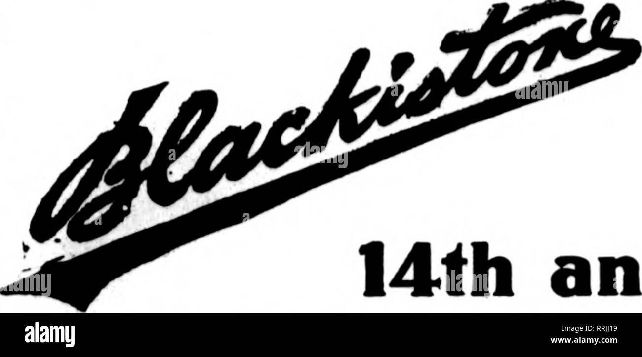. Floristen Review [microform]. Blumenzucht. CUDE BROS. CO. JTLORISTS 1214 rST. NW. tf^8 HlN 0 Tonne. D.&amp; WASHINGTON, D.C.'S GUDE Mitglieder Floristen "Telegraph Lieferung RICHMOND. VA. Die Hammond Company, Inc. führender Floristen 109 EAST BROAD STREET Lynchburg, Virginia Auto und ExpreM Service zu allen Punkten in Virginia Miss McCarron Mitglied der Floristen "Telegraph Lieferung NORrOLK, VA. eRANOY der FLORIST Bestellungen auch für die Festung Monroe, VA geliefert. Die FLORISTEN "Telegraph Lieferung Association NASHVILLE TENNISSBB W..li die Freude des Mtmbera der Floristen Telerraph Lieferung Aai'ir. Führende Floristen Geny Bro Stockfoto