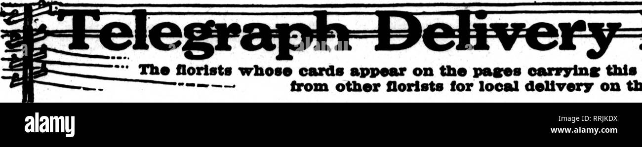 . Floristen Review [microform]. Blumenzucht. Januaby 23. 1919. Die Floristen Review 51. "Iry^ fcrCJPOlfOTiG! Die flortsts wlioae Karten erscheinen auf Fsme pases oarvyInK dieser Kopf, sind bereit, Bestellungen aus anderen Floristen für die lokale Zustellung auf die üblichen tiasls auf die Grippe.. Bitte beachten Sie, dass diese Bilder sind von der gescannten Seite Bilder, die digital für die Lesbarkeit verbessert haben mögen - Färbung und Aussehen dieser Abbildungen können nicht perfekt dem Original ähneln. extrahiert. Chicago: Floristen Pub. Co Stockfoto