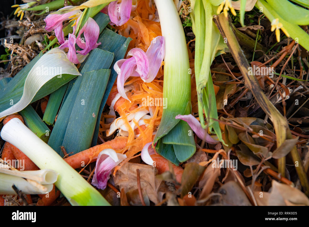 Ein Haufen organischer Abfall aus Gemüse, Blumen- und Gartenabfälle. Stockfoto