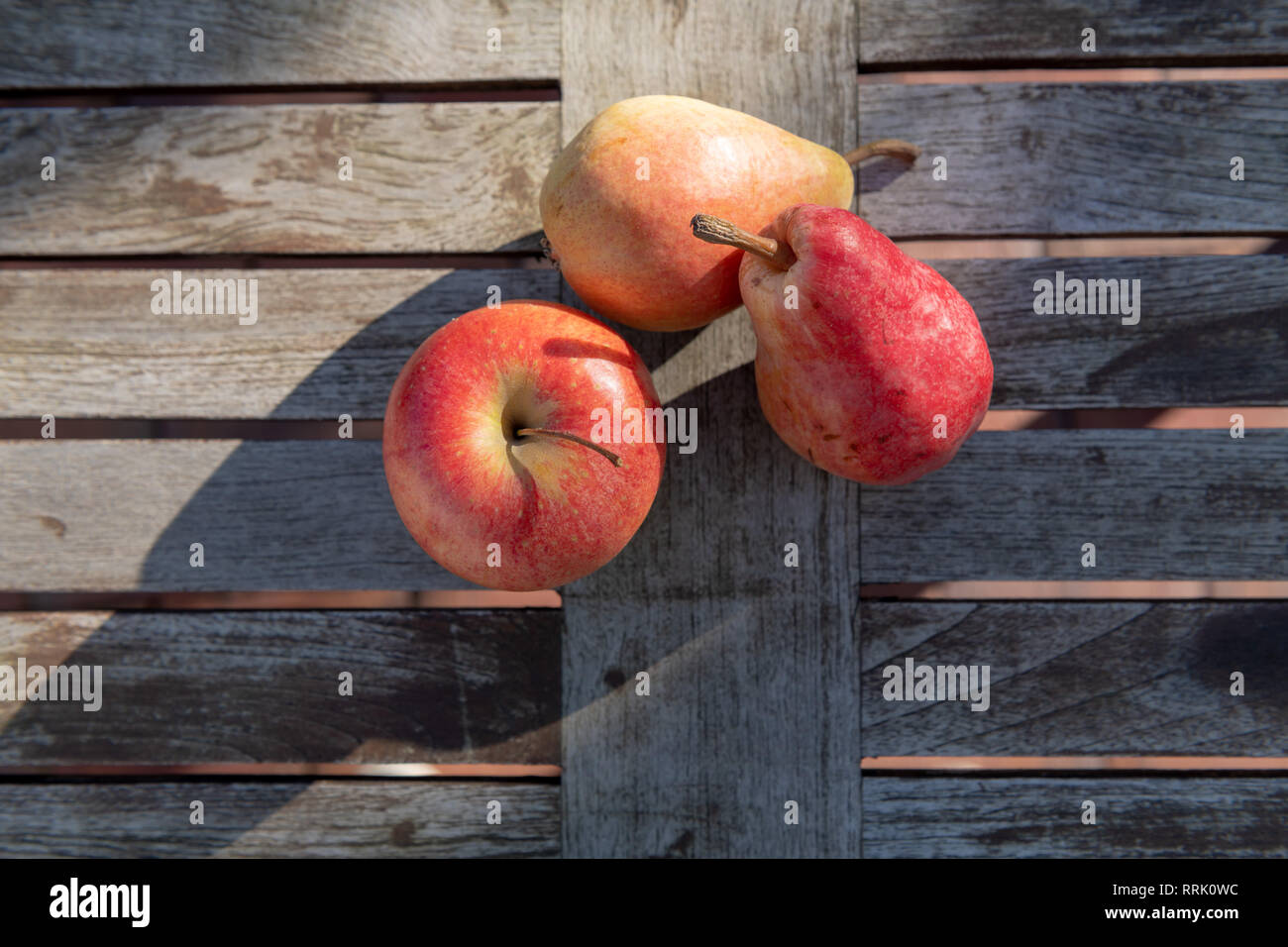 Zwei rote und gelbe Birnen und ein Apple liegen auf einem rustikalen Garten Tisch in der Sonne. Stockfoto