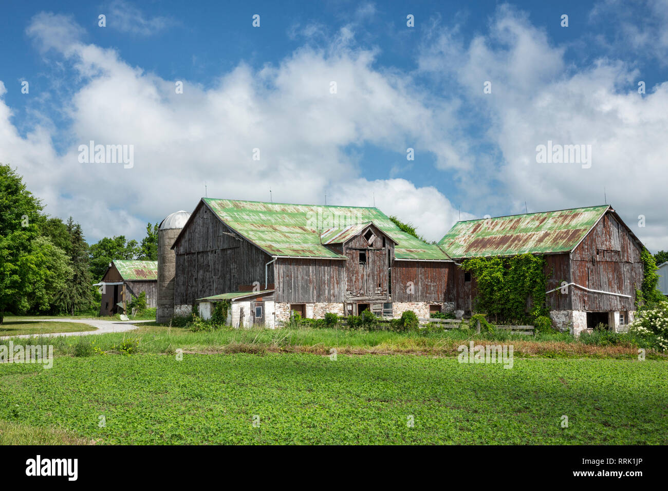 Scheunen auf der Farm, Warminster, Ontario, Kanada Stockfoto