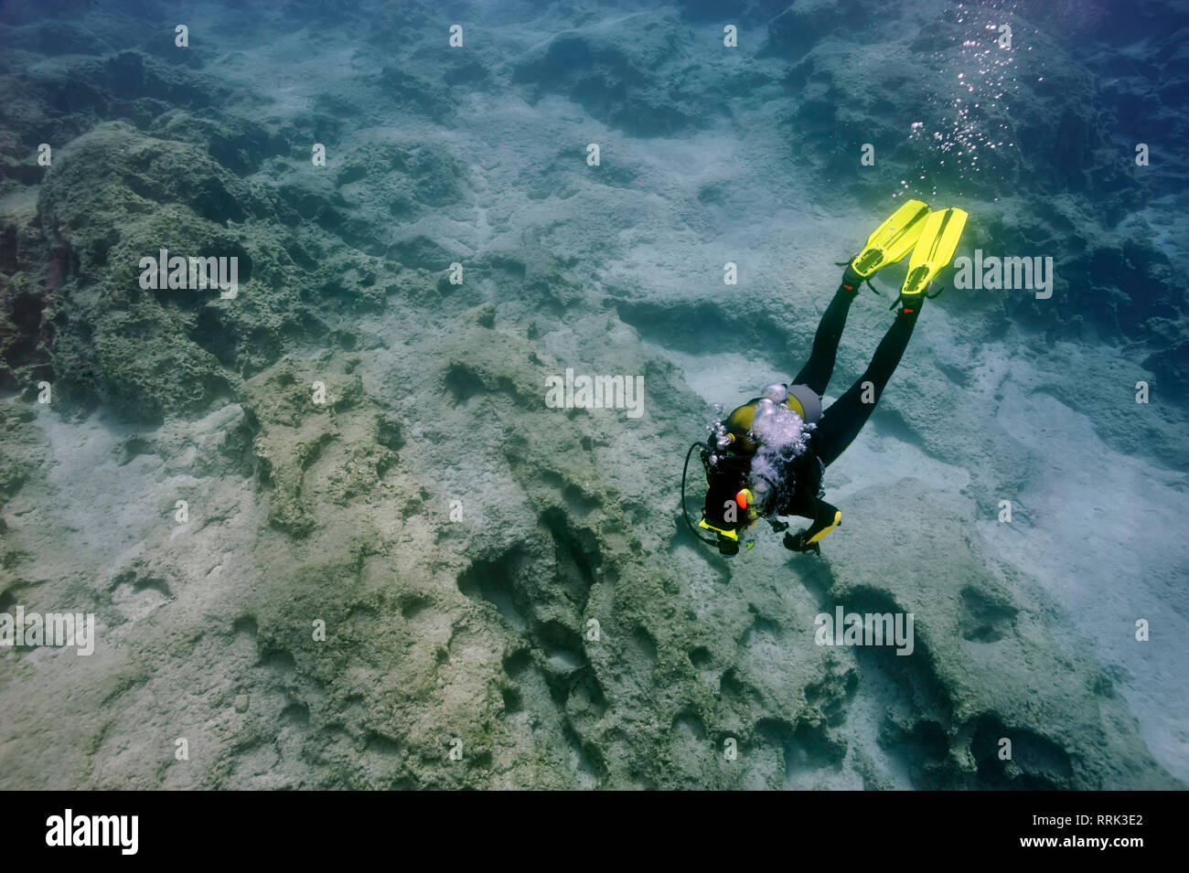 Taucher im Meer, Unterwasser Stockfoto