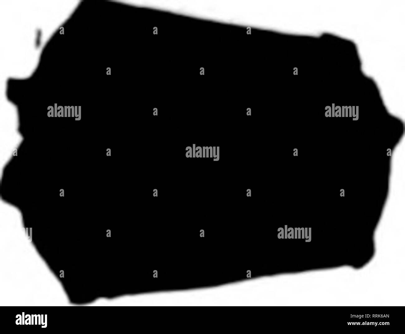 . Floristen Review [microform]. Blumenzucht. Muster auf Anfrage keine Werkzeuge erforderlich S5 o Pro 1000 Postpaid - Großhändler für Preise - SOOO Tor 1,00 $. W. WAITE. Hersteller, 85 Bdmont Ave. SPRINGFIELD, Masse, erwähnen die Bgrlew wenn yon Verfahrensurkunden. TUNLIN PAINT CO. Chestnut Hill, rHUADELPmA'' Die Feuchtigkeit gewinnen nicht unter dem Lack dct", wie unsere Farbe durchdringt die Oberfläche beschichtet. Es ist für die Grundierung, sowie Top Coats AM BESTEN. Erinnern Sie sich an dieses, und lassen Sie es von ihrem Erbauer auf alle neuen Arbeit verwendet. Erwähnen Sie die Bevlew wenn Joo. schreiben. Nicht knicken GEWEBE SCHLAUCH In jeder Länge (ein Stück), mit Kupplungen, 15c pro Stockfoto