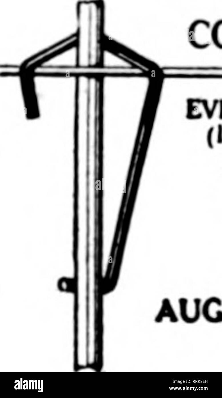 . Floristen Review [microform]. Blumenzucht. BLAKE'S HEBEL CLIP für RoscH, Nelken, etc.; fas-zehn Stangen, Drähte usw. Tbey neyer Slip und sind eine große sar-Ing von Zeit und Geld. Preis US $ 1,66 pro 1000 5000 $ 1,40 pro 1000 10.000 ormore 1,15 pro 1000 F. O. B. in Rochester. Proben kostenlos. B.S. BLAKE &Amp; Sohn 8 Melrose St., Rochester. N.Y.. CORTS BETEILIGUNG VERBINDUNGSELEMENTE EWIGEN EUREKA (ich "RF"&gt; uc) (iroJl"") PRO 1000 IN PARTIEN oder PU 100. % 29 S1000&gt; 160 290 SOOO 155 2,80 10.000 150 2,70 70000 I.40. AUGUST CORTS &Amp; SOHN WYNCOTE PA-. Bitte beachten Sie, dass diese Bilder aus scanne extrahiert werden Stockfoto