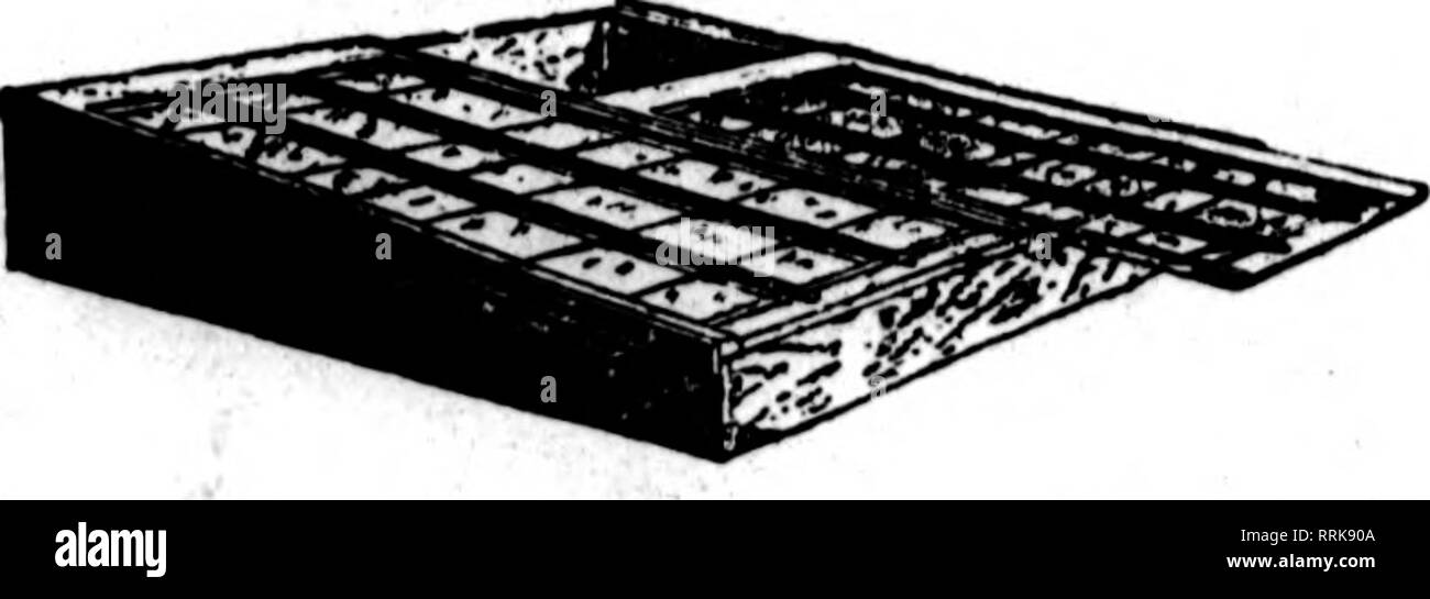 . Floristen Review [microform]. Blumenzucht. 110 Die Floristen^ Review Septembbr 11, 1919. NEWPORT, Brechungsindex Horticultiiral Gesellschaft zeigen. Wetter Verschwörung gegen die Flower Show des Newport Horti-kulturellen Gesellschaft in Newport Beach, September 3 und 4. Die Anzeige war ein außergewöhnlich verdienstvolle. Eine der auffälligsten zeigt der Gladiolen wurde von C.M.Bugholt, Gärtner für Miss Fannie Foster, der Setzlinge auf dem Anwesen gewachsen. Drei große Blüten, die eine weiße Begeisterung gefordert wurden, Miss Fannie Foster, award-Silber Medaille der Gesellschaft ed; eine Rosa, Frau Allgemeine Eiee, Awar Stockfoto