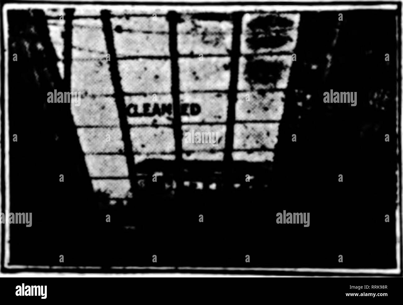 Floristen Review Microform Blumenzucht Zeile Fecnljousc Usejtnow