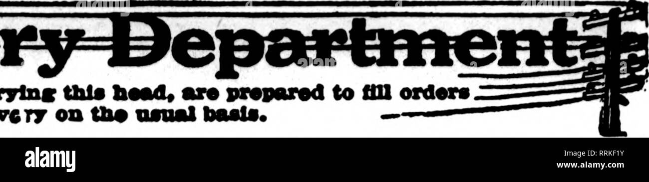 . Floristen Review [microform]. Blumenzucht. Oktober 2, 1919. Die Floristen Review 87. Bitte beachten Sie, dass diese Bilder sind von der gescannten Seite Bilder, die digital für die Lesbarkeit verbessert haben mögen - Färbung und Aussehen dieser Abbildungen können nicht perfekt dem Original ähneln. extrahiert. Chicago: Floristen Pub. Co Stockfoto
