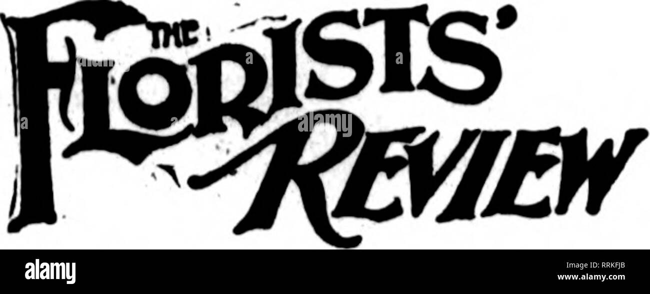 . Floristen Review [microform]. Blumenzucht. 2 Die Floristen^ Bewertung August 2, 1917. ?^ J&gt;-^r Index lo Ihe/Adverlisemenls&amp; €^?." A. Aome Floral Co... 59 Acorn llefluiug Co. 78 Voraus Co.. • • • • • " " Albert & Amp; Davidson. 75 Alfred I. ozier Bosery 47 Allen. J. K-------^^ Alpha. Ich; iO;.%-48-64 Alviiicape Jessa - Grube Co... • • • • • • • • -^American Glühlampe Co. 54 Amerikanische Gr'nhouse Mfg Co III-96 American Fenster Glas Co&lt;:] l Amllng Co. • -J? Anderson S. A..... 4 "Angermueller G.H.^ "Aphlne Mfg Co... "L Arcade Blumengeschäft 44 Archias Floral Co. 44 Arehlas Same Store. 52 Arnold, A. Stockfoto