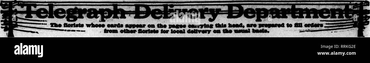 . Floristen Review [microform]. Blumenzucht. 68 Die Floristen Review Juki 12, 1910. 19 - FLORISTEN PUBLISHING CO.S08 South Dearborn St., Chicago können Sie eine Karte occnpyinff Teleffraph Lieferung|A|incli in eacli itrae von - fitrttB wmted ontBtee MOT. der Floristen" für einen Zeitraum von oneirear von Datum und tliereafter antll verbieten, von einer Partei, für die. aftree in Höhe von |^ cts zu bezahlen.}"*^^^ weelc, Rechnungen zahlbar monatlich. "' ' ^ ' Streik oat lame als aboye. QT Wenn Sie rapwcnted, Zeichen * Abreißen und Mail der Coupon." Fred C. Weber 4326-28 Olive Street, ST. LOUI Stockfoto