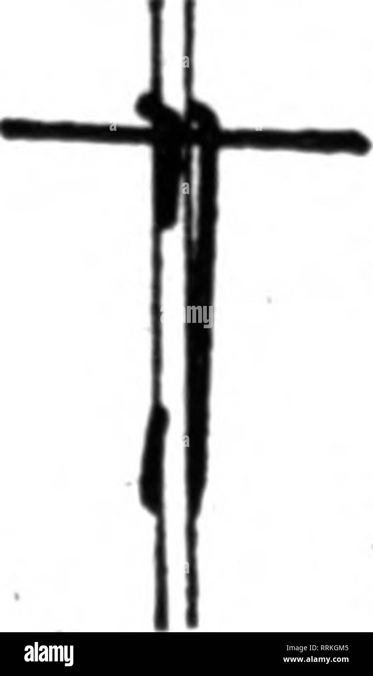 . Floristen Review [microform]. Blumenzucht. DREE R * S Florist SpeclaitUs neue Marke. Neuen Stil. Schlauch "RIVERTON" eingerichtet in Längen bis zu 500 Fuß ohne Naht oder gemeinsame. Den Schlauch fw das Blumengeschäft' 4-Zoll pro ft., 18 c Haspel von 600 ft. "MHic 2 Rollen. 1000 ft" 14 o Vinch" 13 c Reel, 600 ft... **12&gt; 9C ConpUnga erschöpft. HINRY A DRUm 714 0 heetnatSt, PHII. ADKLFHIA, Pa BLAKB" 8 LSVXR CUF für Rosen, Nelken, etc.; fas-zehn Stangen, Kreuz wrires usw. Dort nie Rutschen und sind eine große Aav-ing von Zeit und Geld. Preis 1,50 $ pro 1000 6000 bei $ 1,86 pro 1000 10.000 am 1. Stockfoto