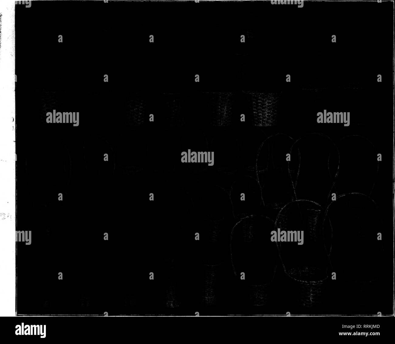 . Floristen Review [microform]. Blumenzucht. Maech 22. 1917. Die Floristen^ Review 53. Der größte Wert, den wir jemals angeboten! 25 "BESTOFALL "POT 25 GRIFF KÖRBE $ 10.00 Dieses spezielle Angebot ist absolut die größten Wert, die wir je angeboten haben. Sehen Sie selbst, was Sie bestellen. Das Sortiment, das Sie erhalten, ist genau das gleiche wie in der Abbildung gezeigt. Dieses "Best-of"-Sortiment besteht aus den folgenden Teilen: 6 Nr. 1 "Best-of"-Topf Deckel, 6-Zoll Durchmesser 6 Nr. 2 "Best-of"-Topf Deckel, 5 | 4 f-Zoll Durchmesser 5, Nr. 3 "B Stockfoto