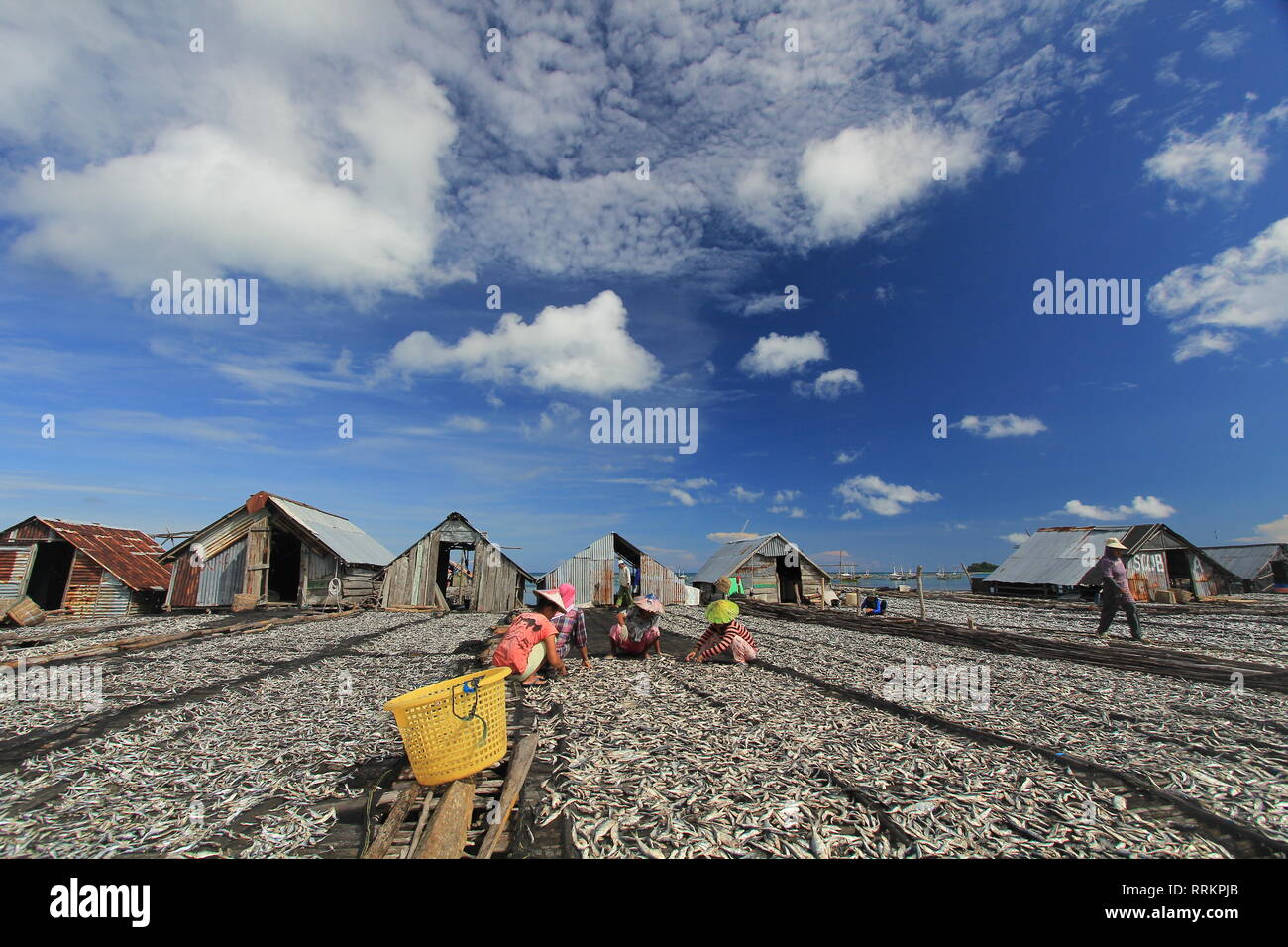 Aktifitas masyarakat Tanjung Binga menjemur Ikan asin Stockfoto