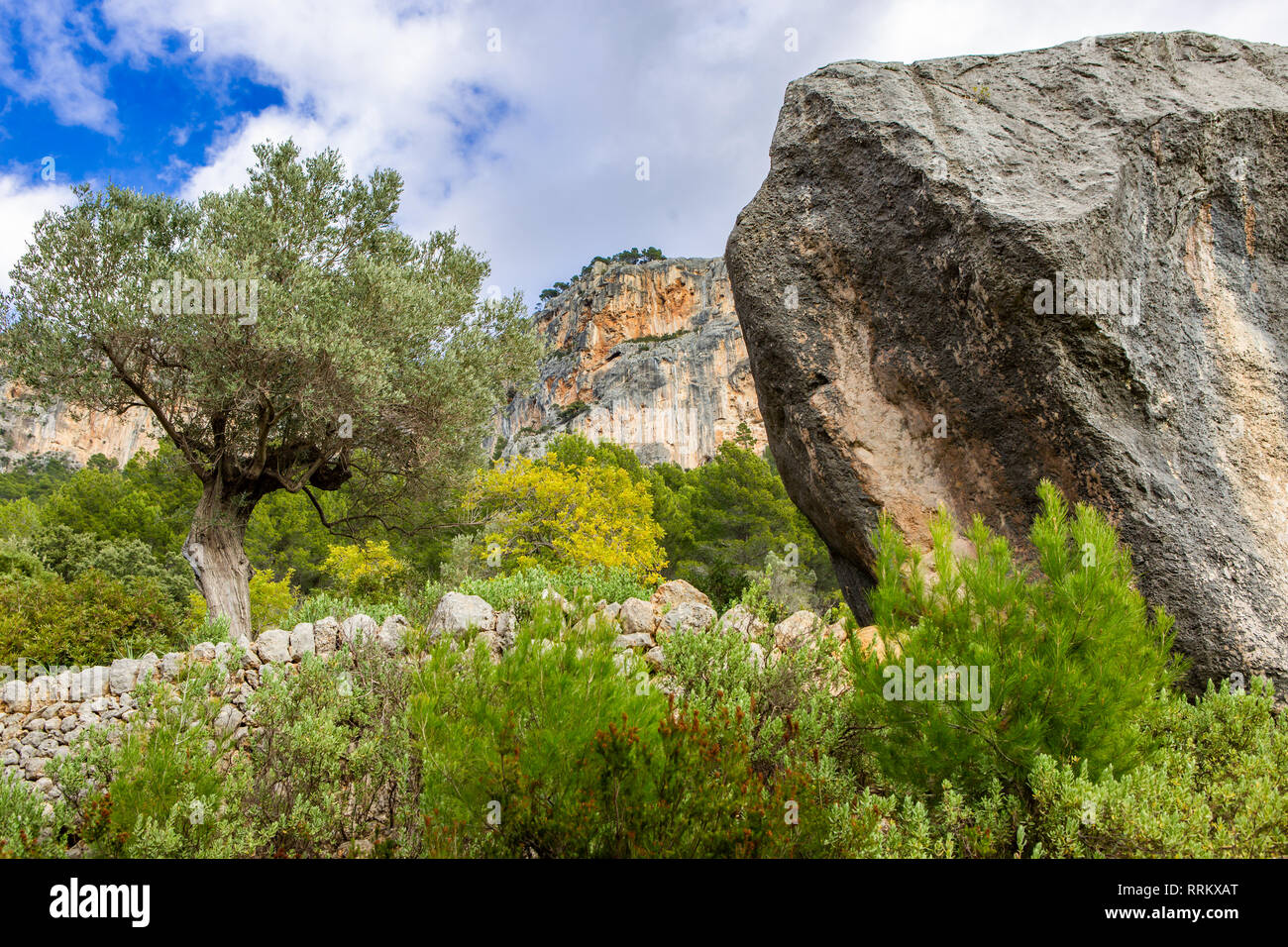 Trockenmauern Szene in der Nähe von Alaró und Burg von Alaró rock, Mallorca, Balearen, Spanien Stockfoto