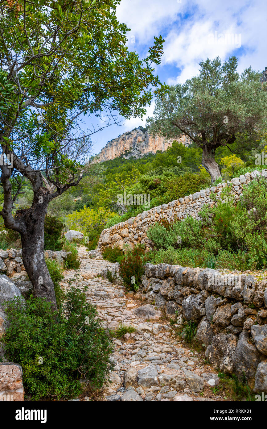 Trockenmauern Route Trekking Trail in der Nähe von Alaró und Burg von Alaró rock, Mallorca, Balearen, Spanien Stockfoto