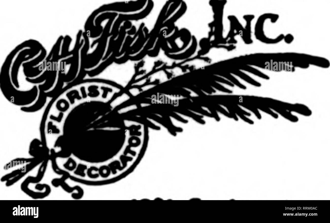 . Floristen Review [microform]. Blumenzucht. CHICAGO senden Sie Ihre Bestellungen an*. William J. SMYTH Mitglied Floristen "Telegraph Lieferung Verband Micliigan Avenue an der 31. Straße die UNKXOELLKD EINRICHTUNGEN OP DER E.WIENHOEBER CO.22 E.ELM ST., Chicago?re arailable für den Handel mit fllUngr alle Aufträge. UZMBKB F. T. D. FÜR ALLE CHICAGO AUFTRÄGE VERWENDEN S^^ • UtM-llUIIIS yrvmpt dtllvwjr.. 1581 Osden Av "CHICAGO ALPHA FLORAL GEHEN. Nordwestecke Wabash Ave. in Adams SL Die meisten zentral in der Stadt. Alle Bestellungen, die sofortige Aufmerksamkeit gegeben. Pittsburgh, PA FRAU. E. WILLIAMS 621 Penn Avenue CQCEDnDT III Wir Stockfoto