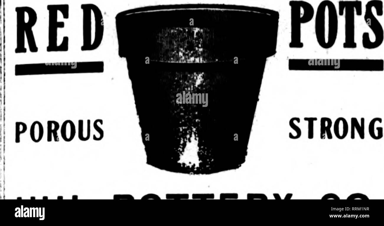 . Floristen Review [microform]. Blumenzucht. Fbbbuary 1, 1917. Die Floristen^ Review 119 Standard. Starke UHL TÖPFEREI CO EVANSVILLE - HUNTINQBURG INDIANA ivsviitlou der Überprüfung wben Yon schreiben. Syrakus roten Töpfen in Standard Slies ihre lichtneaa ist "strons Punkt whan Frachtraten hish sind und Münzen höher. Iheir Stärke auf die sorgfältige Verpackung hinzugefügt Abfälle speichert in Bruch. Schreiben für Katalog Syrakus Töpferei C. BRBITSCHWBRTH, Vorschl. In Syracuse, N.Y.. Bitte beachten Sie, dass diese Bilder aus gescannten Seite Bilder, die digital für die Lesbarkeit verbessert haben mögen - Färbung und App extrahiert werden Stockfoto