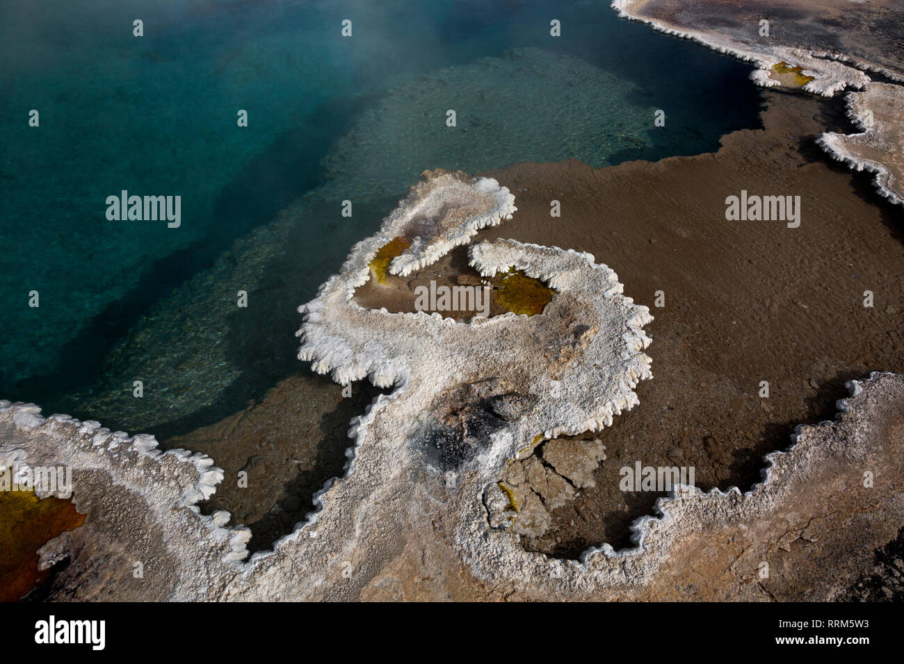 WY 03840-00 ... WYOMING - Columbia Feder mit einer feinen Grenze der bauchigen Sinter und Cyanobakterien im Herzen See Geyser Basin in Yellowstone National P Stockfoto