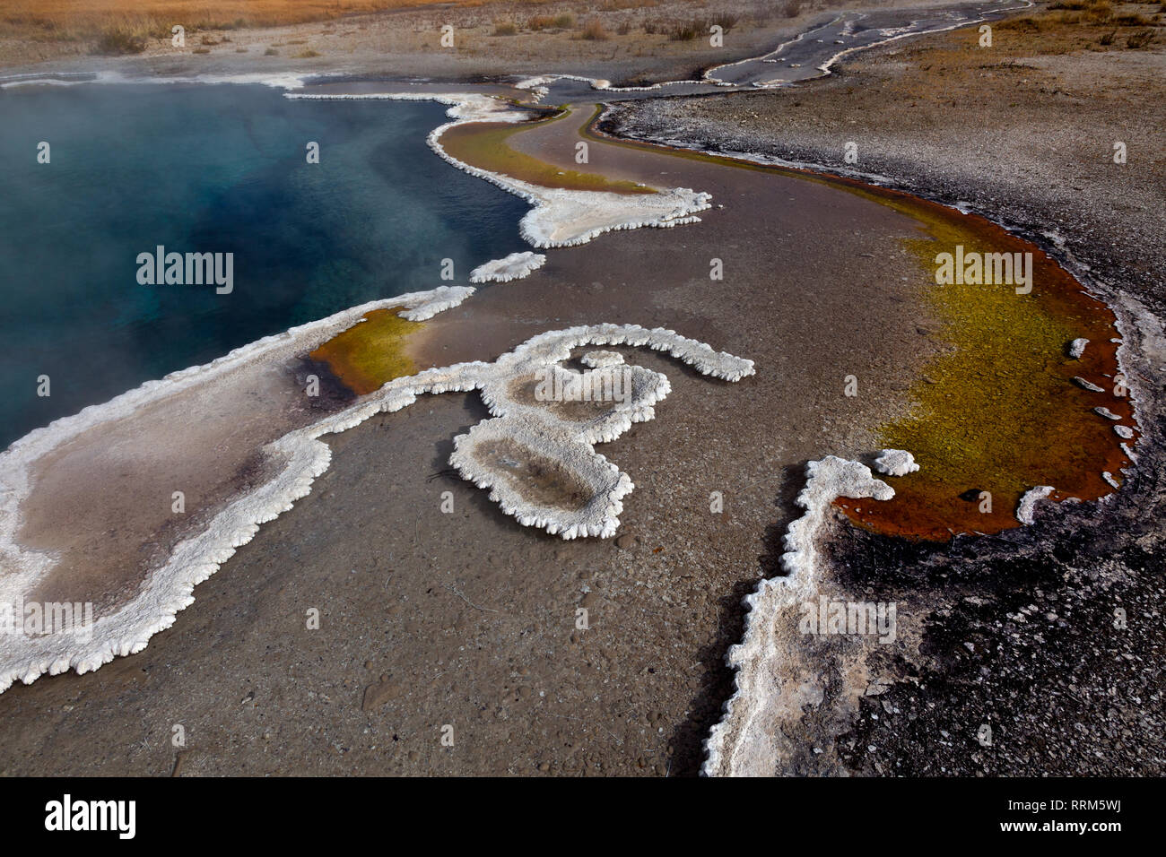 WY 03842-00 ... WYOMING - Columbia Feder mit einer feinen Grenze der bauchigen Sinter und Cyanobakterien im Herzen See Geyser Basin in Yellowstone National P Stockfoto