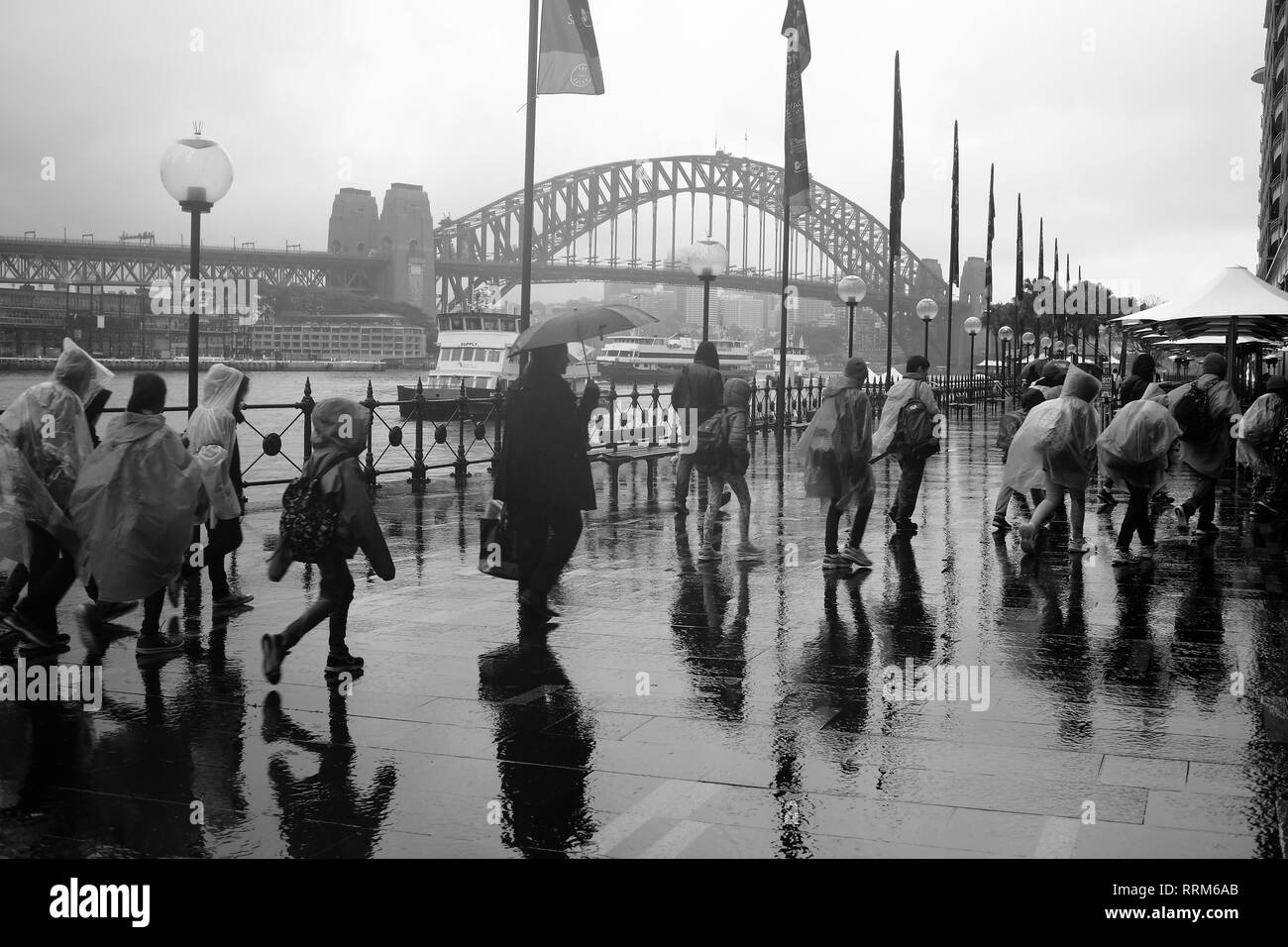 Sydney Harbour Bridge an einem regnerischen Tag. Stockfoto