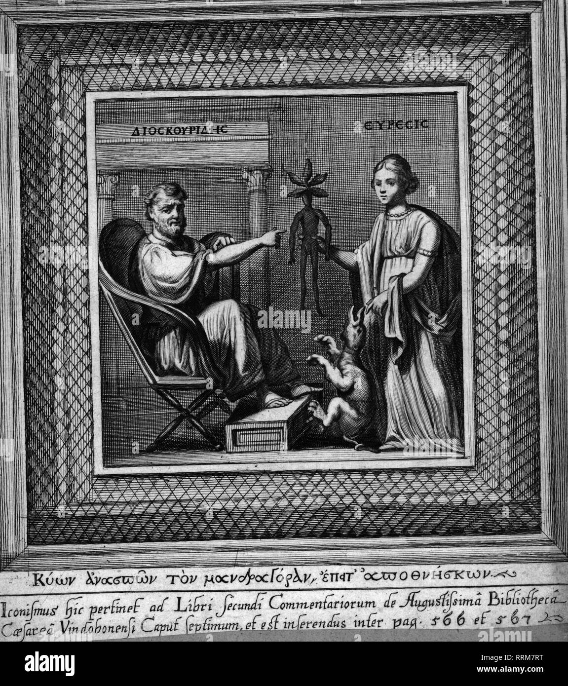 Juliana anicia codex Fotos und Bildmaterial in hoher Auflösung Alamy