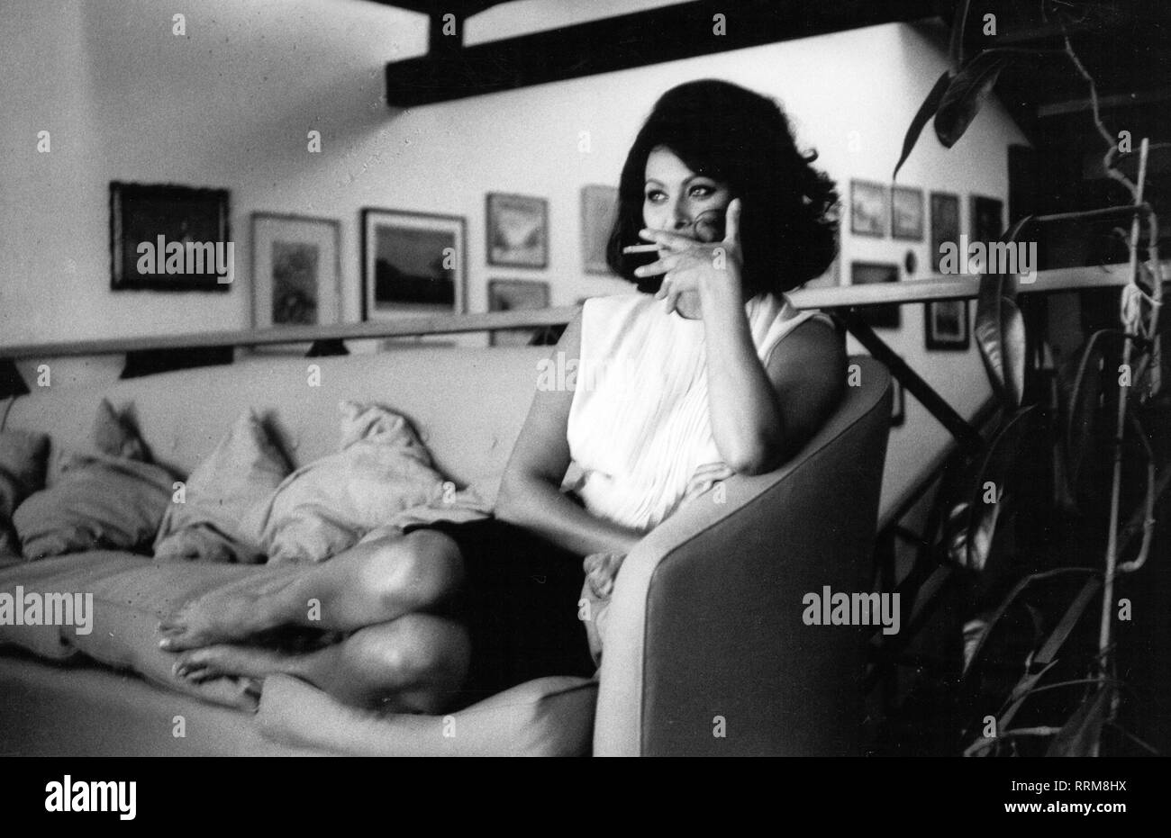 Loren, Sophia, * 20.09.1934, italienische Schauspielerin, halbe Länge, sitzen auf einem Sofa, 1960er Jahre, Additional-Rights - Clearance-Info - Not-Available Stockfoto