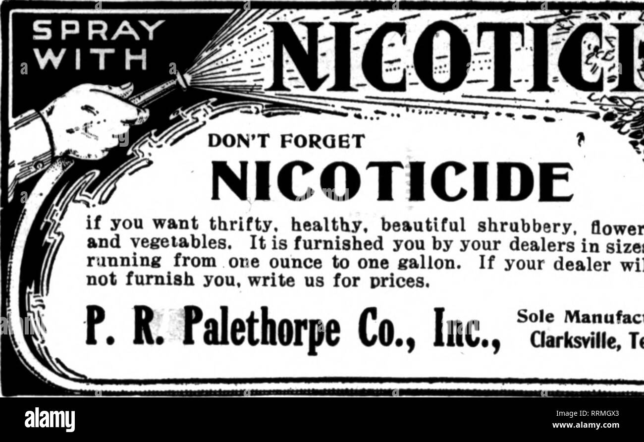 . Floristen Review [microform]. Blumenzucht. Nanibctured durch Nikotin NTG. Unternehmen, 117 N. Nain St, ST. LOUIS, US A. erwähnen die RoTlew wenn Yon schreiben. Nicht zu vergessen. NICOTICIDE wenn Sie sparsam, gesunden, schönen Sträucher, Blumen und Gemüse. Es ist Ihnen von Ihrem Händler in den Größen von einer Unze zu einer Gallone, eingerichtet. Wenn Ihr Händler wird Sie nicht, uns für Preise schreiben. P.R. Palethorpe Co., Inc., "SLSXru". Bitte beachten Sie, dass diese Bilder aus gescannten Seite Bilder, die digital für die Lesbarkeit verbessert haben mögen - Färbung und das Aussehen von Th extrahiert werden Stockfoto