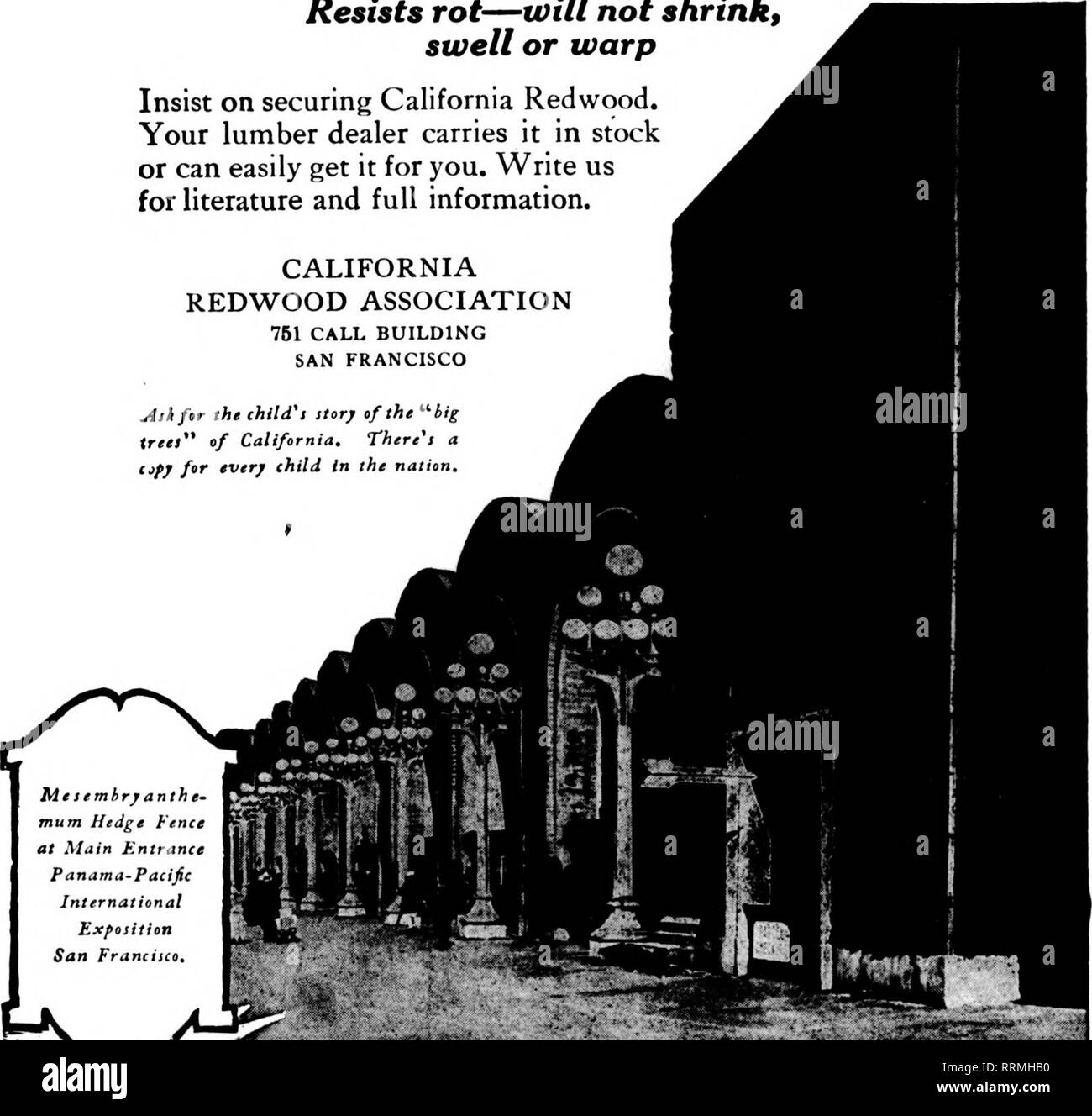 . Floristen Review [microform]. Blumenzucht. Jdnb 21, 1917. Die Floristen Review 103 Tb "beste Bphagnum mosa, B-bbl. Ballen, fl.OO pro Ballen. Bargeld mit bestellen. Harry B. Halloway, Ohataworth. N. J. Tabak. Frischen Tabak stammt, in Ballen, 200 lbs., $ 3.00, 500 lbs., $ 6,00; 1000 lbs. $ 10.60, Tonne, $ 20,00. Bargeld mit bestellen. Scharff Bros., Van Wert, O. starke Tabakstaub, $ 1,76 pro 100 kg; 200 lb. $ 3.00. F. H. Hunkel. Milwaukee. W.s. Kabel^A/OWK. Wir sind der größte Hersteller von Draht Arbeit im Westen. B.F. Winterson., 166 North Wabash Ave., Chicago. William B. Hielscher das Kabel funktioniert, 264-266 Stockfoto