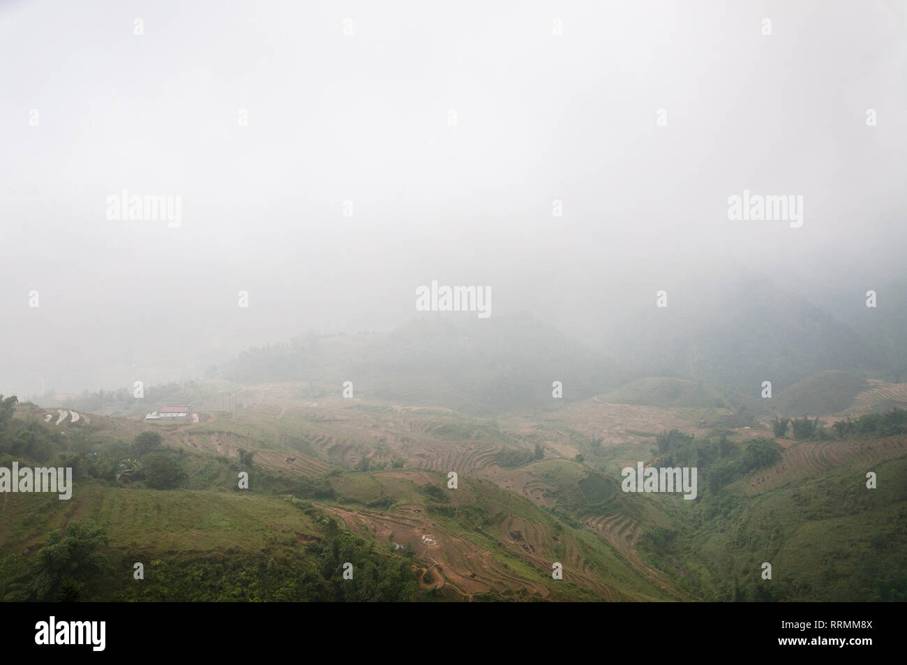 Terrassierten Hügeln im Nebel, Sa Pa, Vietnam Stockfoto