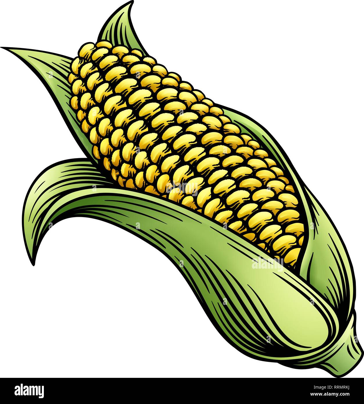 Corn Illustration Stockfotos Und Bilder Kaufen Alamy