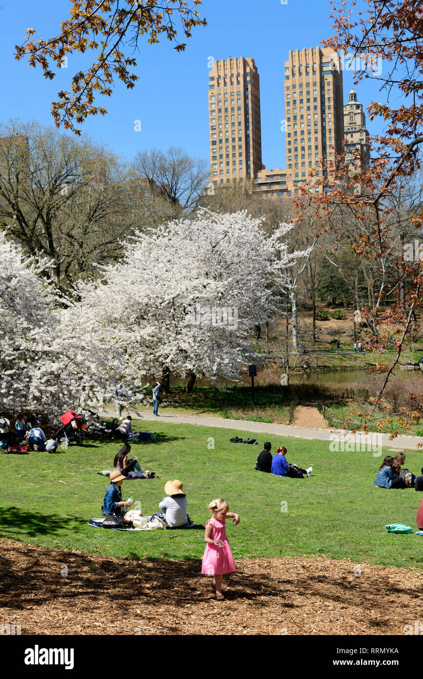 Nordamerika, Amerika, USA, Amerikanische, Ostküste, New York, Manhattan, Central Park, Stockfoto