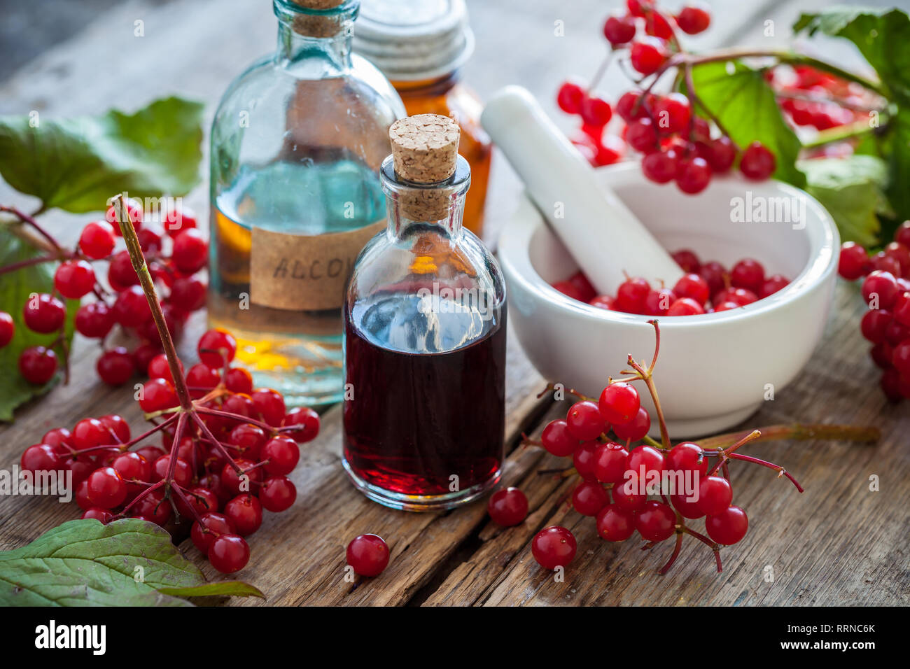 Flaschen Gefüllte Schneeball (viburnum) Tinktur und Mörtel des gesunden Beeren, Kräutermedizin. Selektive konzentrieren. Stockfoto