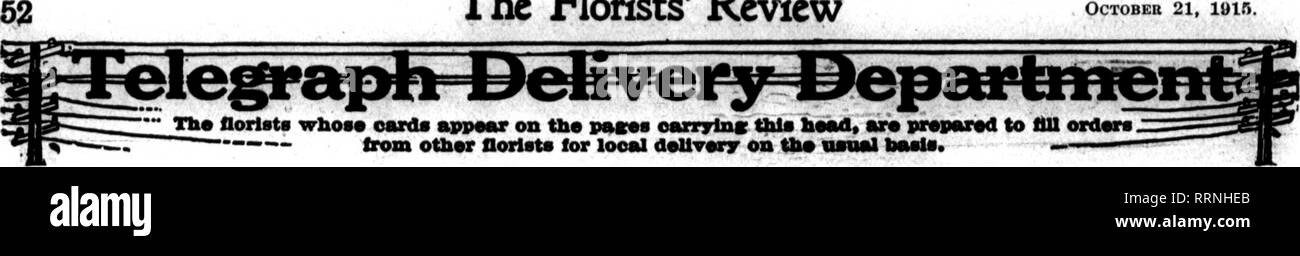 . Floristen Review [microform]. Blumenzucht. '?^^ ich?? • y; y-T ^^V Ich; - f'''!." --- V?;-'-*,''''&gt;.'? Die Floristen Bewertung Oktober 21, 1915. Alle MARYLAND Aufträgen an SAMUEL FEST S SÖHNE 9 m Em coni "r Char 1" ein und Plaaaant Sta^BALTIMOIIB. MD. Das Unternehmen mit 82 Jahren Erfahrung und aato repatatioa Quick Delivery Service für Stadt und subortM. Baltimore, Maryland AUD AIX SOUTHXRN POXNTB PIERCE &Amp; CO.'S';^^" 817 N. Charles St., BaJtlmore, Md. Mitglieder Floristen "Telegraph Lieferung WEST VIRGINIA WESTERN MARYLAND DIE H. WEBER &Amp; Söhne 00. IWnnoat, W. Virginia a8 rlab" f, W. Vi. Oaldawl, IM Stockfoto