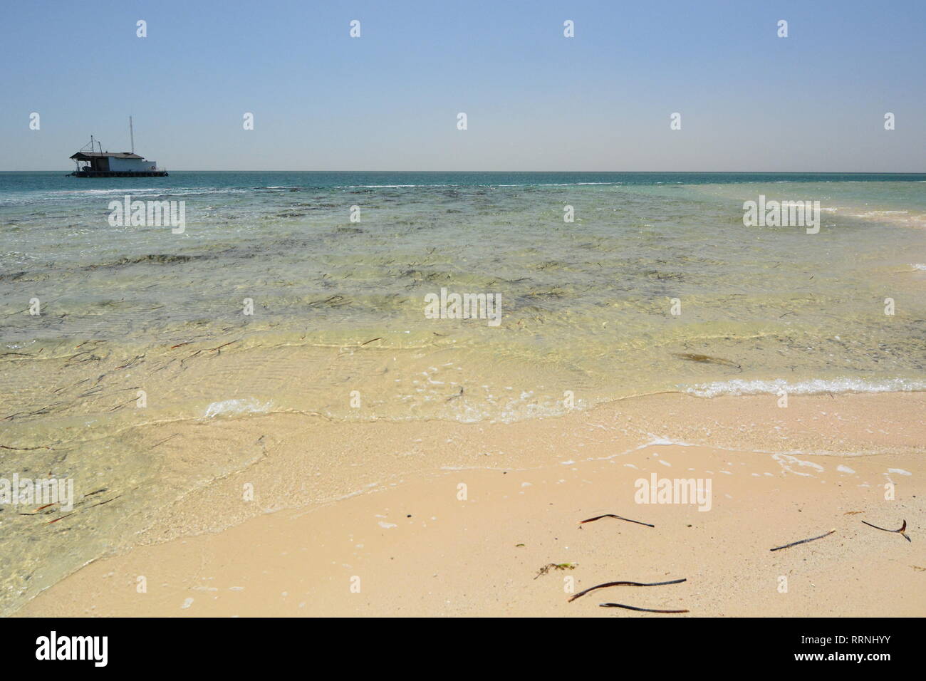 Marine in Monkey Mia. Shark Bay. Coral Coast. Western Australia Stockfoto