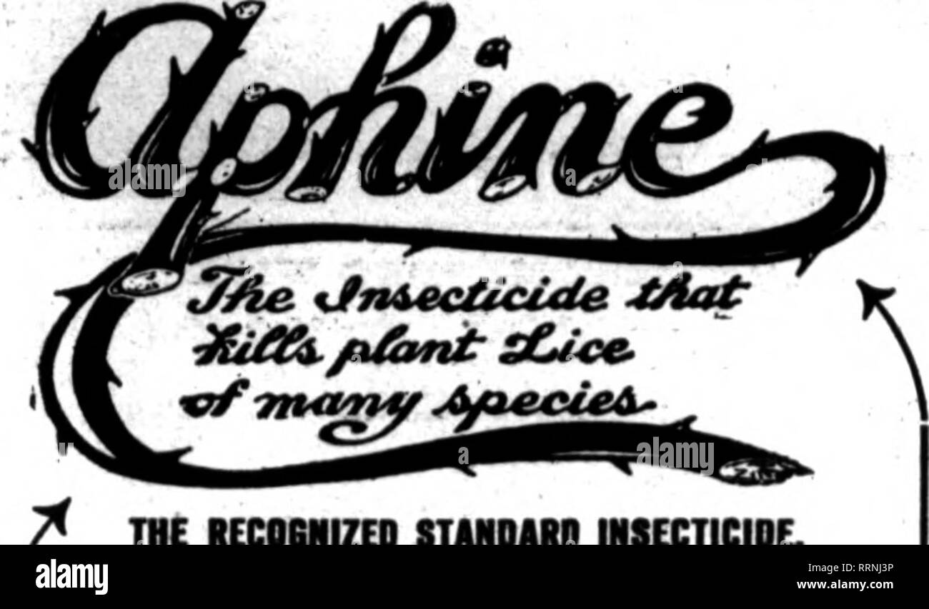 . Floristen Review [microform]. Blumenzucht. Ein "DBCBUBXtt 28, 19X9. .' Der 'Rorists Rcvicv 19 Flüssigkeit es 40 * NIOOTINK. NICO-niME" Papier 8-lb. Cftn tlO^4-lb 0 "B 6,60 1-lb. Können 1,60""-lb.c" ii 50 TMRIPS MPHIS 288 Blatt kann ich 7. Ich 0 144 sheetcaii 4,00 24 Blatt können 86 Spritzen - verdampfen - RÄUCHERN IHR HÄNDLER HAT DIESE PREISE ManufaeturMl von TNI KENTUCKY TABAK PRODUCT COMPANY, Incorporated, Lonlsvlllo, Ky. Erwähnen 111* Hrlew beim Yen. schreiben. /, Die lECOGNIZED STiMDAIW INSECTICIDL A8 pra 7 Hilfsmittel für Grün, Schwarz, Weiße Fliege, thrlpB und Weichen. Qoart, $ 1,00; OaUon. $ 2,60. Eine Infallibl FUNGINE Stockfoto
