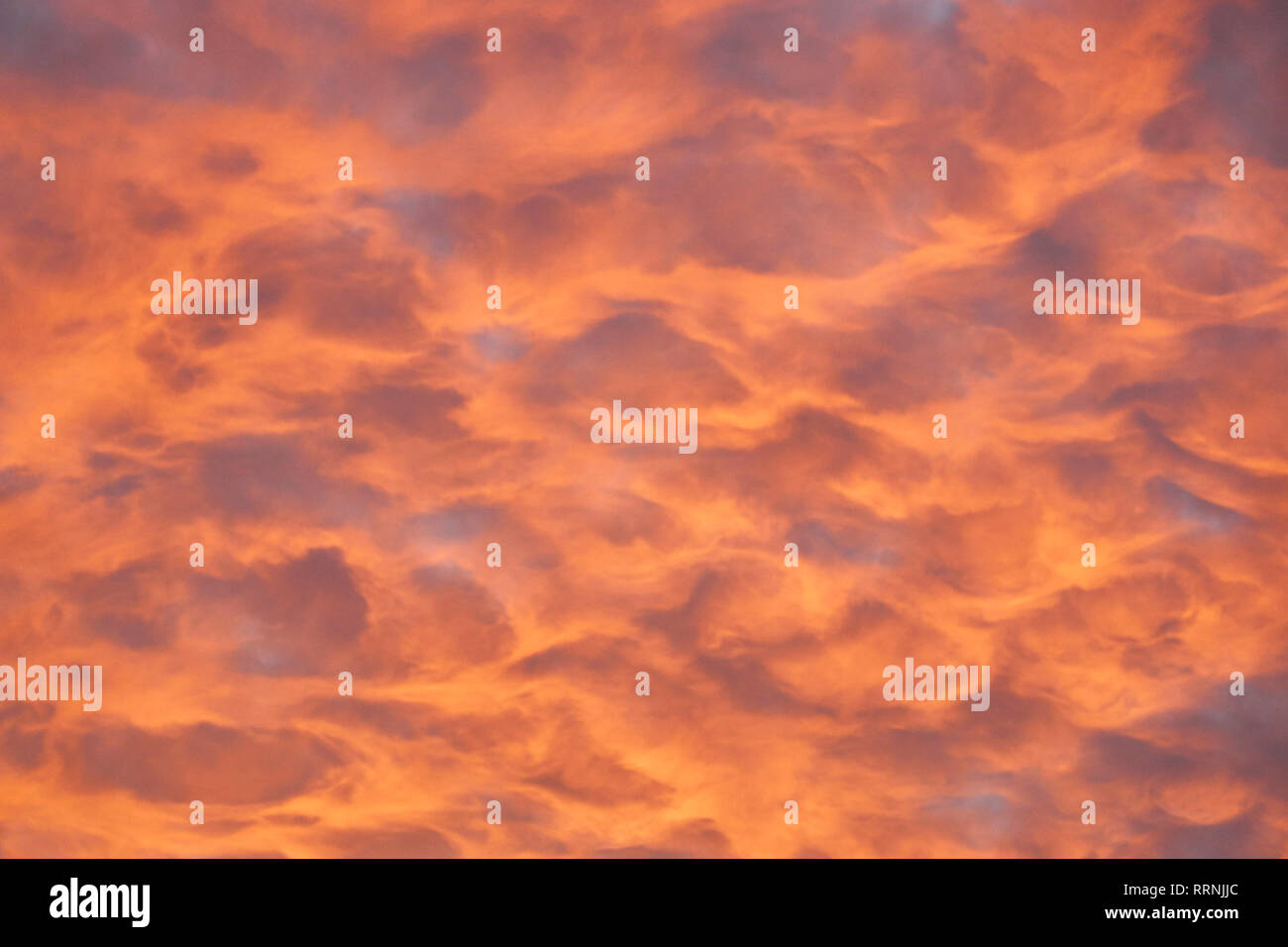 Sonnenuntergang mit orange Wolken Stockfoto