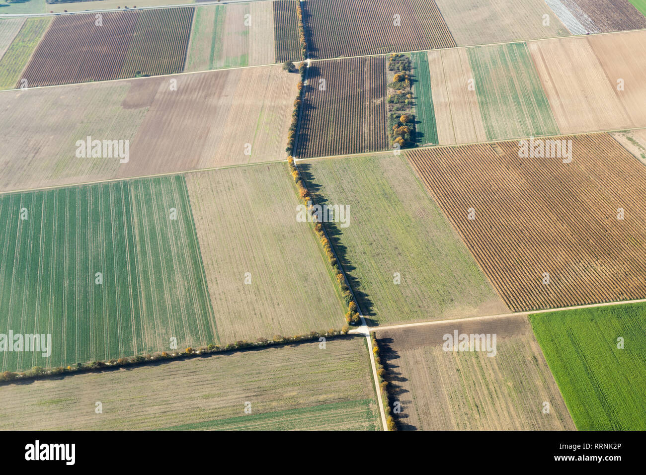 Luftaufnahme von Feldern in Süddeutschland Stockfoto