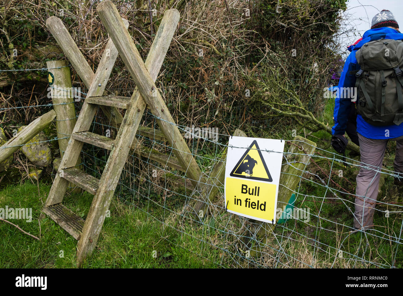 Stier im Feld rechtswidrig Zeichen auf Zaun durch Stil auf einem öffentlichen Fußweg durch ein Bauernhof Feld. Moelfre, Isle of Anglesey, Wales, Großbritannien, Großbritannien Stockfoto