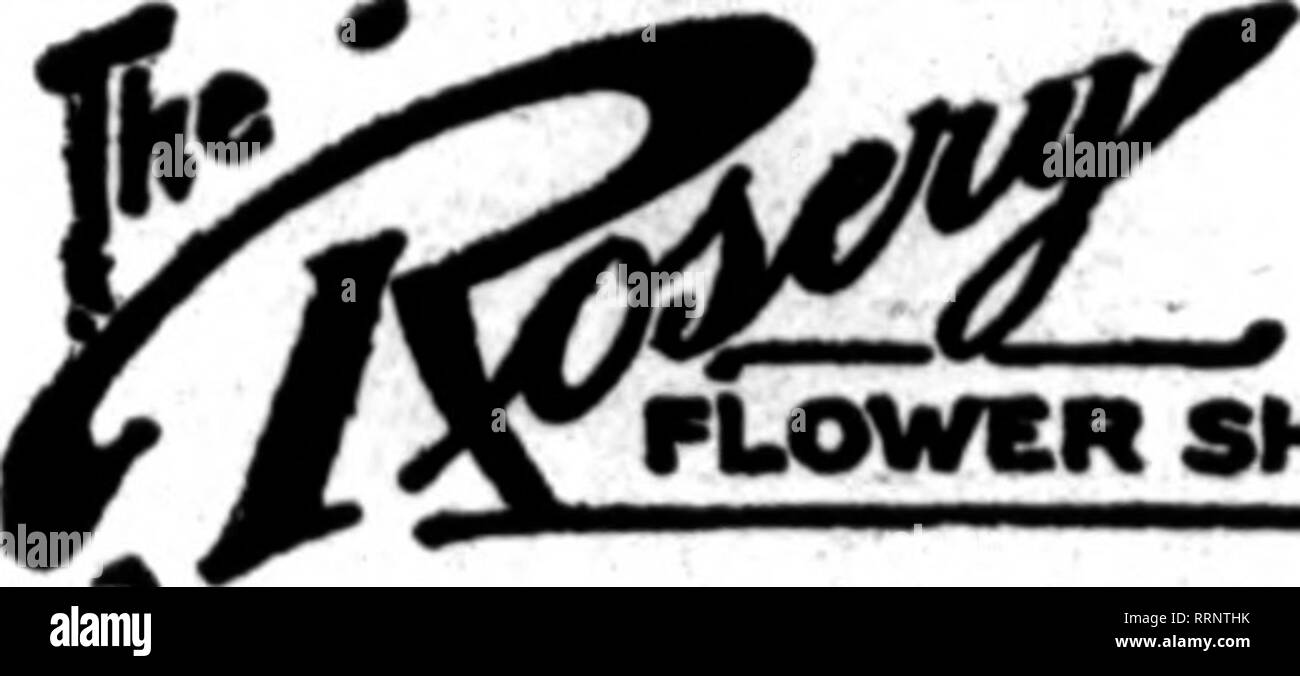 . Floristen Review [microform]. Blumenzucht. ALBANY, N.Y. le 28. STEUBEN STREET^ Aufträge an uns.. S. A. Anderson440 Main SL, Buffalo, N. v. Anderson Service bedeutet, frisch, stabile und schnelle Lieferungen in Buffalo, Lockport, Niagrara fällt und Western New York. Mitglied der Floristen "Telegraph Lieferung Blume Ausstellung äußerte sich enttäuscht- die Verzögerung der Aussteller in Senden in Ihren Einträgen. Der Club de-cided zu entsprechenden $ 100 in Richtung de-Ausfransen die Kosten der Ausstellung. Viele neue Mitglieder wurden für die Maryland Gartenbaugesellschaft, unter deren Schirmherrschaft die Show wi Stockfoto