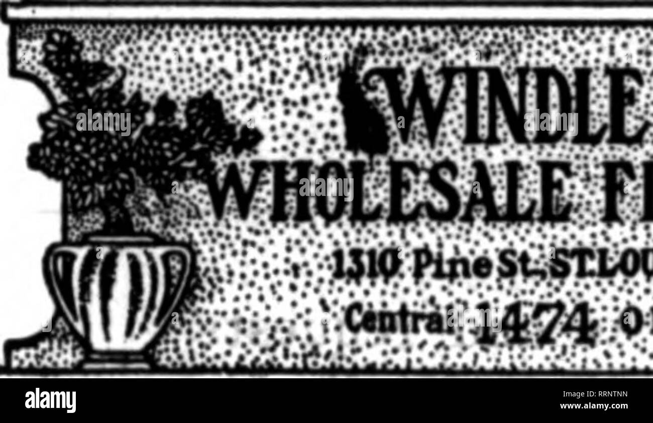 . Floristen Review [microform]. Blumenzucht. Mentloa Tb" Berlew wben Ron writ*. Auswahl Rosen, Nelken, Lilien VaUey HILWilUKEE immer zur Hand. WIS. nOLTON&amp; HUNKEL CO.Kinarney, Nelken "462 miwaukee Street, Mflwankee, Wis.^*"*y '??'""" UND ALLE ANDEREN SEASONABLE LAGER. Erwähnen Sie die R" Tlew wenn Yon schreiben. Großhandel Schnittblume Preise. Pittsburgh. Juni 30,1915. Pro 100 Schönheit. Spezielle 120,00 @ $ 25,00 Fancy 12,50 @ Medium 6,00 @ Kurze 2.00" Killamey Killamey 2,00 Weiß 2,00 Richmond 4. 00 Frau Aaron Ward 2,00 4,00 @ Bulcarie (Rivoire. Taf t) Cattleyas, pro Doz 15. 00 Stockfoto