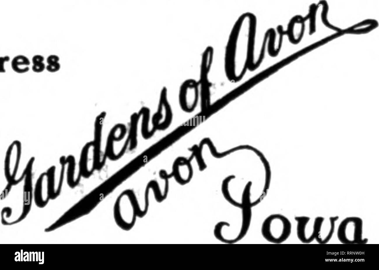 . Floristen Review [microform]. Blumenzucht. jAMUiiBX 28, 1915. eANNAS CANNAS ÜBERSCHUSSWARE, während Sie zu folgenden Preisen an. 2 bis 3 Augen. Bestellungen Wenn Sie wollte. Österreich 1,50 $ pro 100 Burbank 1,60 pro H0 Kalifornien 2,00 pro 100 Herzog von Marlborough 1,50 pro 100 Express 1,50 pro 100 Gladiator 3,00 pro Wenn 0 Imp. Philadelphia 1,50 pro 100 John White 1,00 pro 100 König Humbert 2,00 pro 100 Louisiana 1,50 pro 100 Kilometer. Berat 1,50 pro 100 Meteor 10,00 pro 100 Feuersäule 1,60 pro 100 Philadelphia 1,50 pro 100 Eosea Gigantea 5,00 pro 100 Uncle Sam 1,50 pro 100 Venus 2,00 pro 100 Wyomi Stockfoto