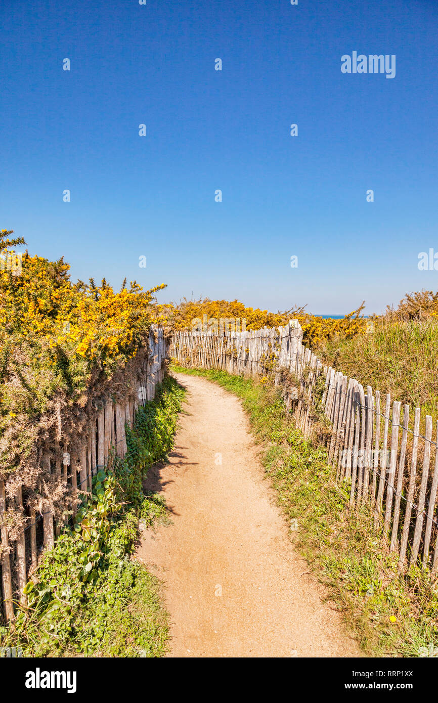 Weg durch die Sanddünen in der Nähe von Port Bara, Halbinsel Quiberon, Bretagne, Frankreich. Stockfoto